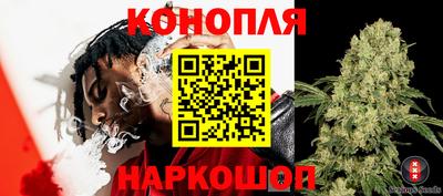 Альфа ПВП Гай