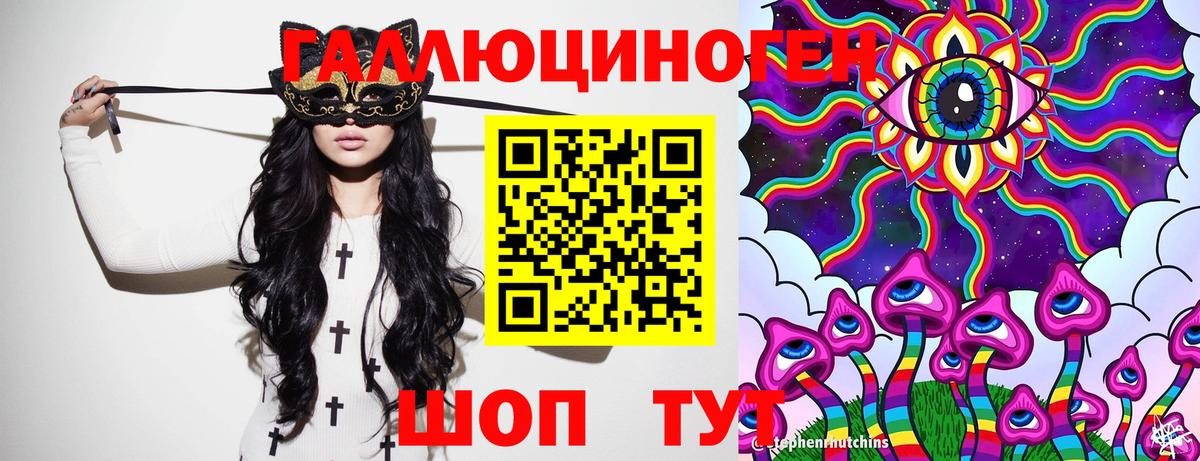Псилоцибиновые грибы GOLDEN TEACHER Москва