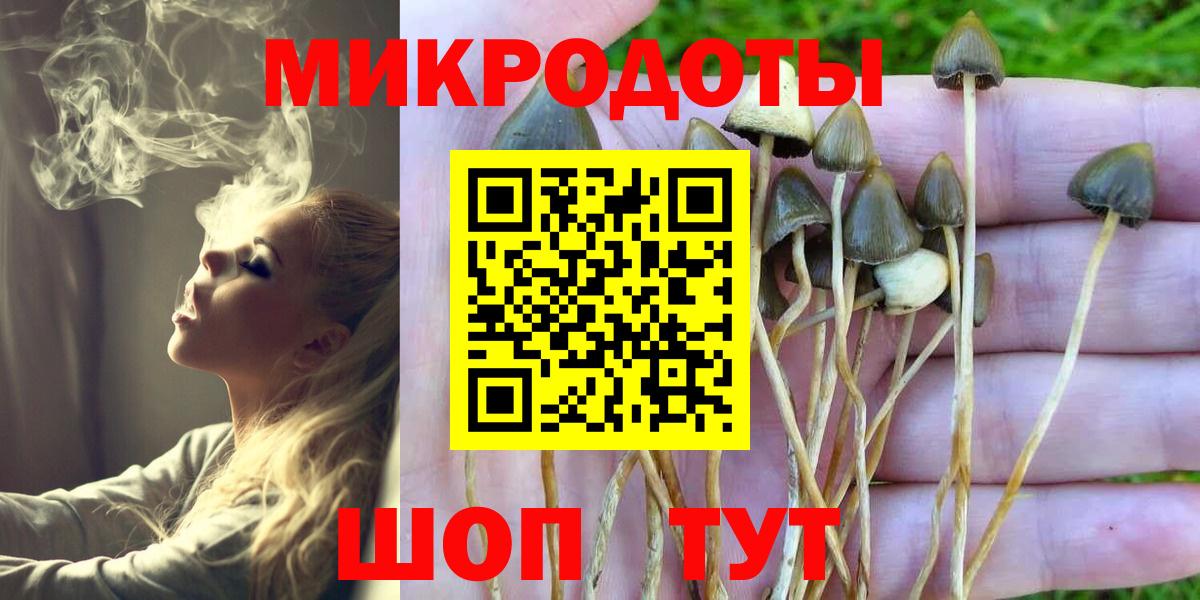 Псилоцибиновые грибы Magic Shrooms  Псилоцибиновые грибы GOLDEN TEACHER  Вход с VPN  Москва 